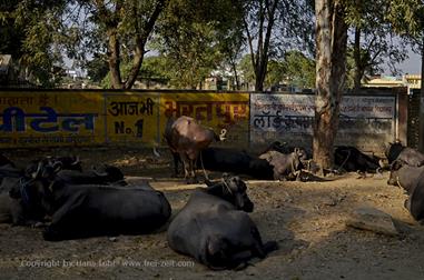 03 PKW-Reise_Fatehpur_Sikri-Agra_DSC5497_b_H600